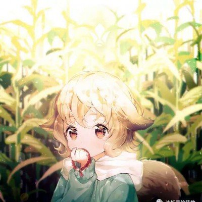 郑丽文休闲装参访中关村
